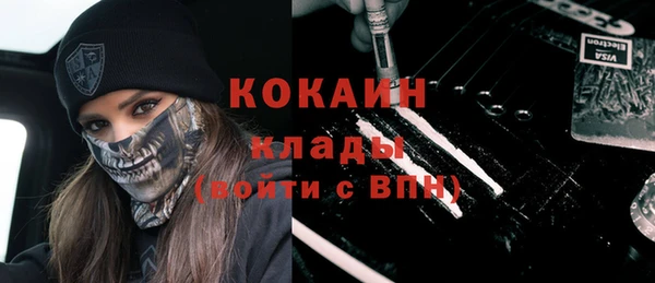шишки Бронницы