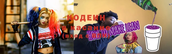ПСИЛОЦИБИНОВЫЕ ГРИБЫ Верея