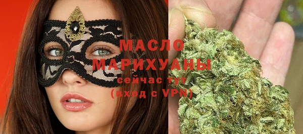 амф Верхний Тагил
