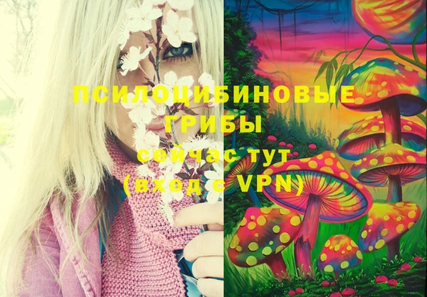амф Верхний Тагил