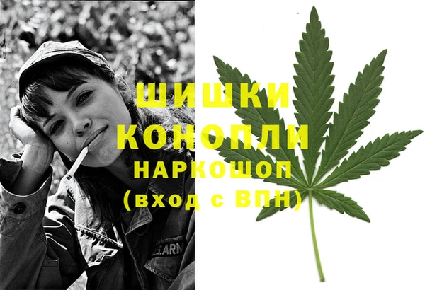 мет Бородино
