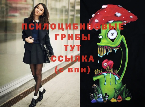 мет Бородино