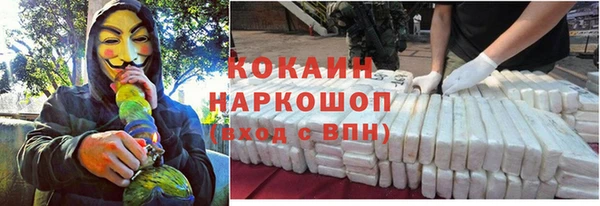 ПСИЛОЦИБИНОВЫЕ ГРИБЫ Верея