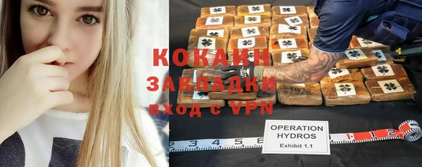 ПСИЛОЦИБИНОВЫЕ ГРИБЫ Верея