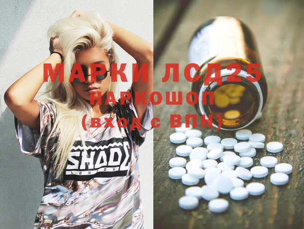 шишки Бронницы