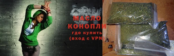 амф Верхний Тагил