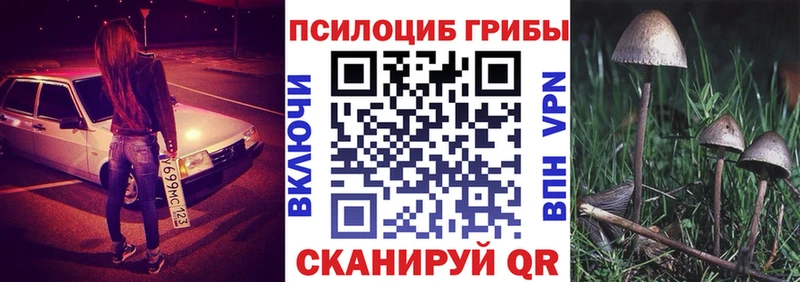 Псилоцибиновые грибы MAGIC MUSHROOMS Хабаровск